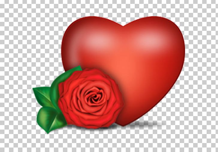 Rose Heart PNG, Clipart, Computer Icons, Cut Flowers, Download, Flower, Flowering Plant Free PNG Download