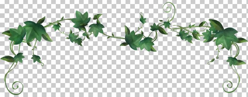 Ivy PNG, Clipart, Flower, Holly, Ivy, Ivy Family, Leaf Free PNG Download