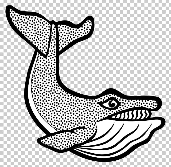 Cetacea Graphics Blue Whale PNG, Clipart, Area, Art, Black, Black And White, Blue Whale Free PNG Download