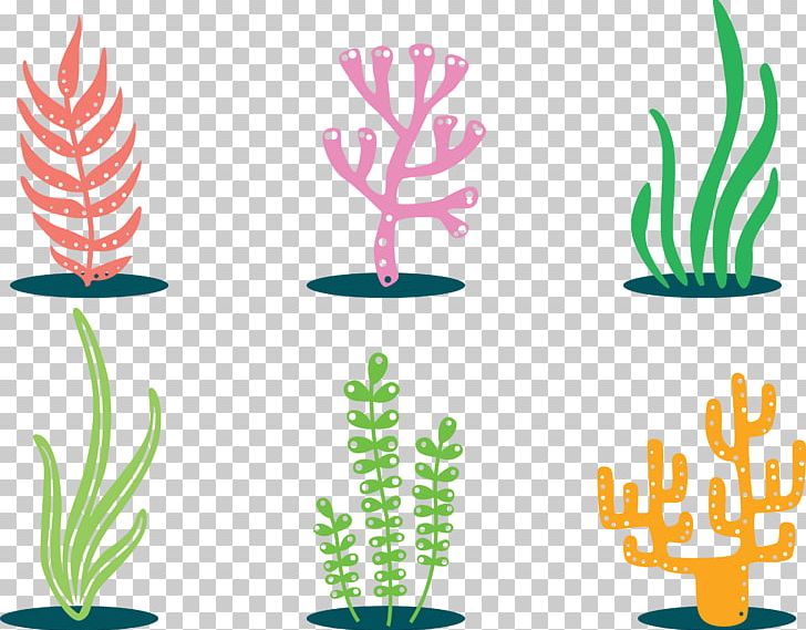 Coral PNG, Clipart, Algae, Bitmap, Bitmap Graphic, Botany, Color Free PNG Download