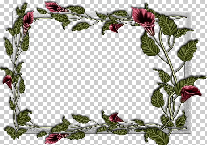 Frames Oakley PNG, Clipart, Art, Branch, Floral Design, Flower, Flowering Plant Free PNG Download