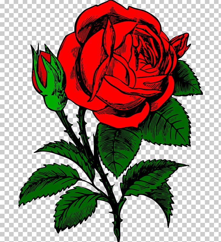 Rose PNG, Clipart, Artwork, Color, Cut Flowers, Download, Drawing Free PNG Download