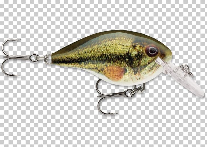 Fishing Baits & Lures Wart Rapala Green PNG, Clipart, Angling, Bait, Bass, Color, Fish Free PNG Download