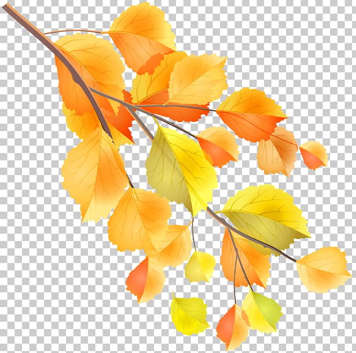 Autumn Branch PNG, Clipart, Autumn, Blog, Branch, Clipart, Clip Art Free PNG Download