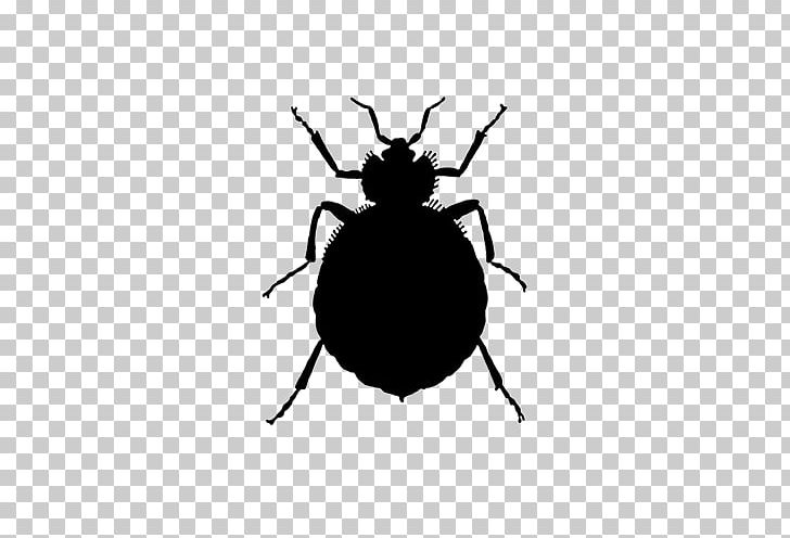 Insect Bed Bug Bite Pest Control PNG, Clipart,  Free PNG Download