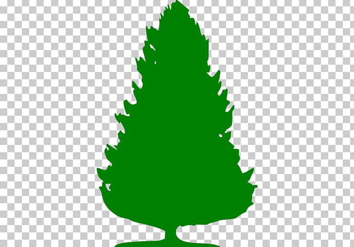 Spruce Christmas Tree Pine Management PNG, Clipart, Balsam, Black, Christmas, Christmas Decoration, Christmas Ornament Free PNG Download