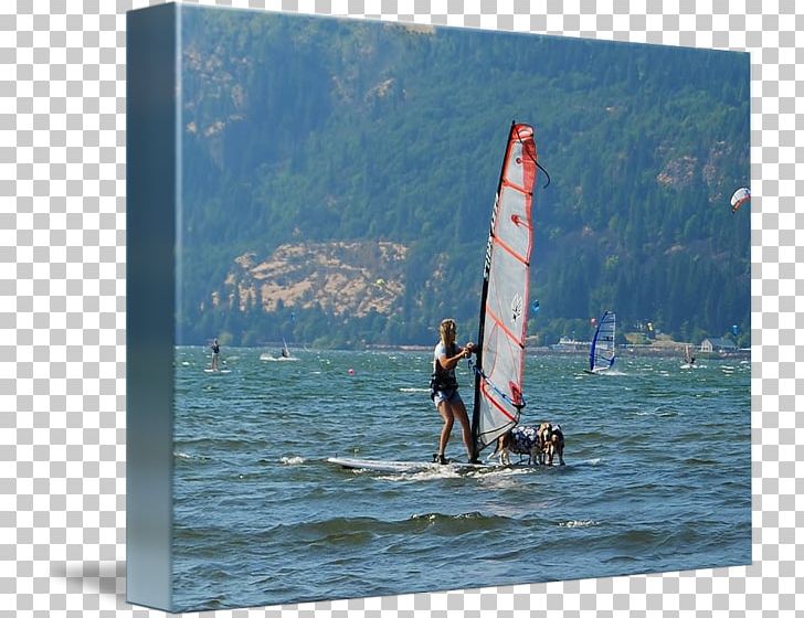 Windsurfing Surfboard Sail Leisure Vacation PNG, Clipart, Boardsport, Inlet, Leisure, Recreation, Sail Free PNG Download