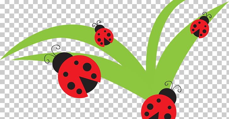 YouTube Ladybird PNG, Clipart, 2017, Beetle, Bug, Butterfly, Drawing Free PNG Download