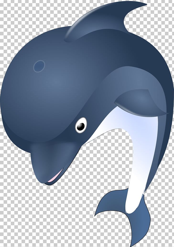 Common Bottlenose Dolphin PNG, Clipart, Animals, Beak, Bicycle Helmet, Bottlenose Dolphin, Common Bottlenose Dolphin Free PNG Download