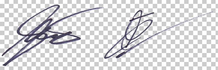 Signature Flourish Of Approval Outbound Kitetravel Line Art Font PNG, Clipart, Accommodation, Angle, Computer Hardware, Drawing, Hardware Accessory Free PNG Download