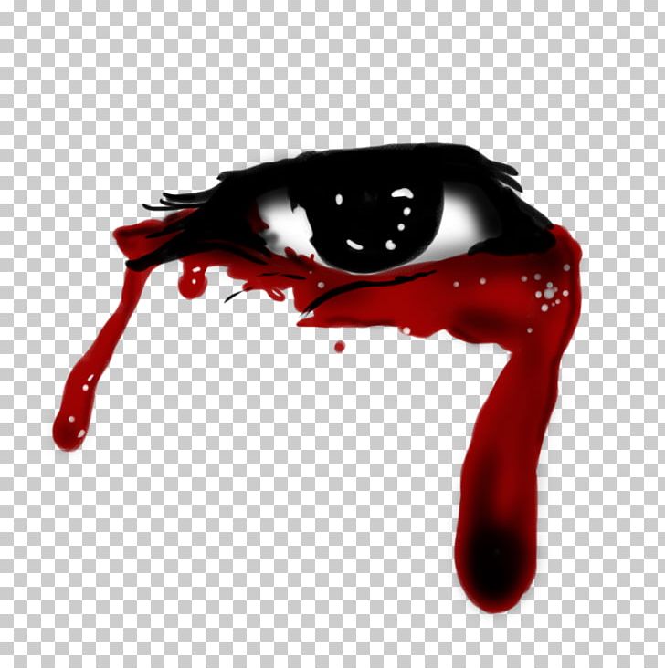Blood Vessel Eye PNG, Clipart, Anatomy, Blood, Blood Vessel, Eye, Hand Free PNG Download