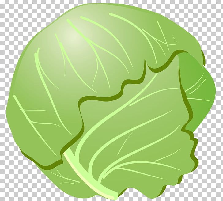 Cabbage Euclidean PNG, Clipart, Brassica Oleracea, Cabbage, Cabbage Leaves, Cabbage Roses, Cartoon Free PNG Download