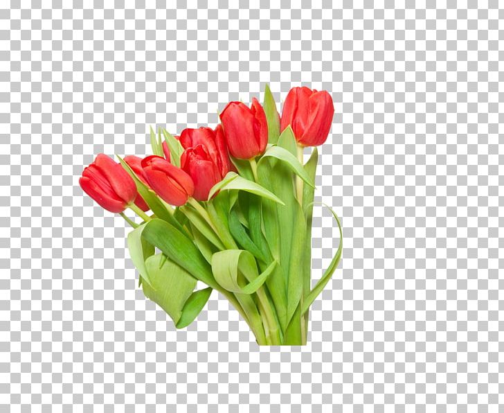 Tulip Flower Red PNG, Clipart, Cut Flowers, Desktop Wallpaper, Digital Image, Floral Design, Floristry Free PNG Download