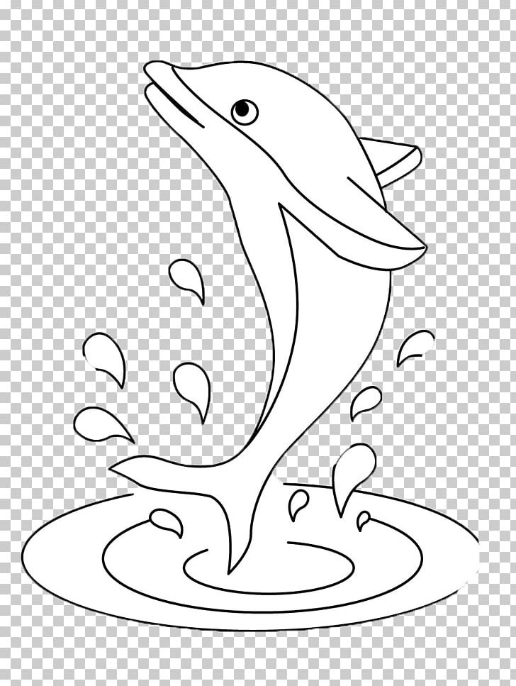 Short-beaked Common Dolphin Harbour Porpoise Whale PNG, Clipart, Animal, Animals, Area, Bird, Cetacea Free PNG Download