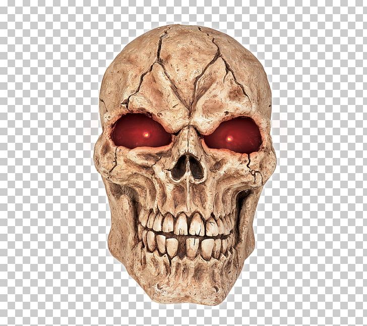 Skull Human Skeleton Head Bone PNG, Clipart, Anatomy, Blood, Bone, Euclidean Space, Eye Free PNG Download