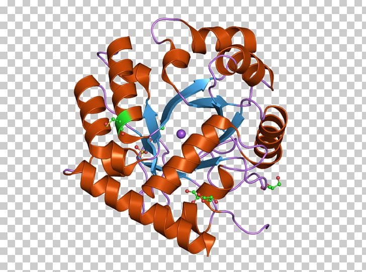 Uridine Monophosphate Synthetase Thymidylate Synthase Orotidine 5'-monophosphate Biosynthesis PNG, Clipart, Adenosine Monophosphate, Bios, Chromosome 3 Human, Enzyme, Food Free PNG Download