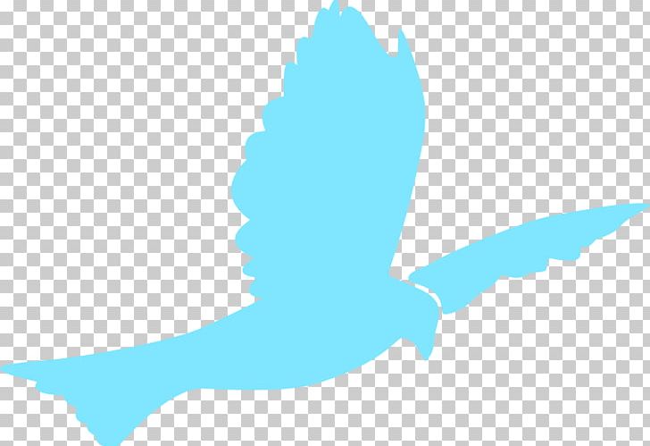 Wing Bird Goose Duck Illustration PNG, Clipart, Anatidae, Aqua, Baptism, Baptism Dove Cliparts, Beak Free PNG Download