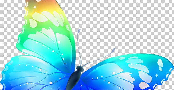 Butterfly Desktop PNG, Clipart, Adobe Flash, Aqua, Azure, Blue, Butterfly Free PNG Download