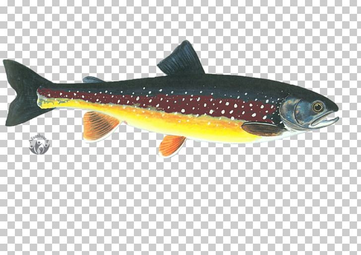 Sardine Cutthroat Trout Salmon Milkfish PNG, Clipart, Animals, Bony Fish, Brook Trout, Color Palette, Cutthroat Trout Free PNG Download