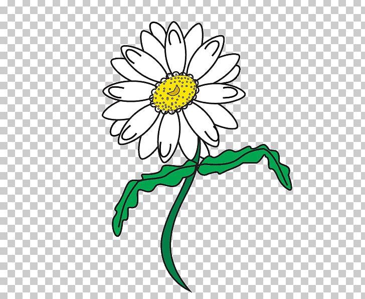 Drawing Line Art Common Daisy PNG, Clipart, Art, Artwork, Beginners, Black And White, Chrysanths Free PNG Download