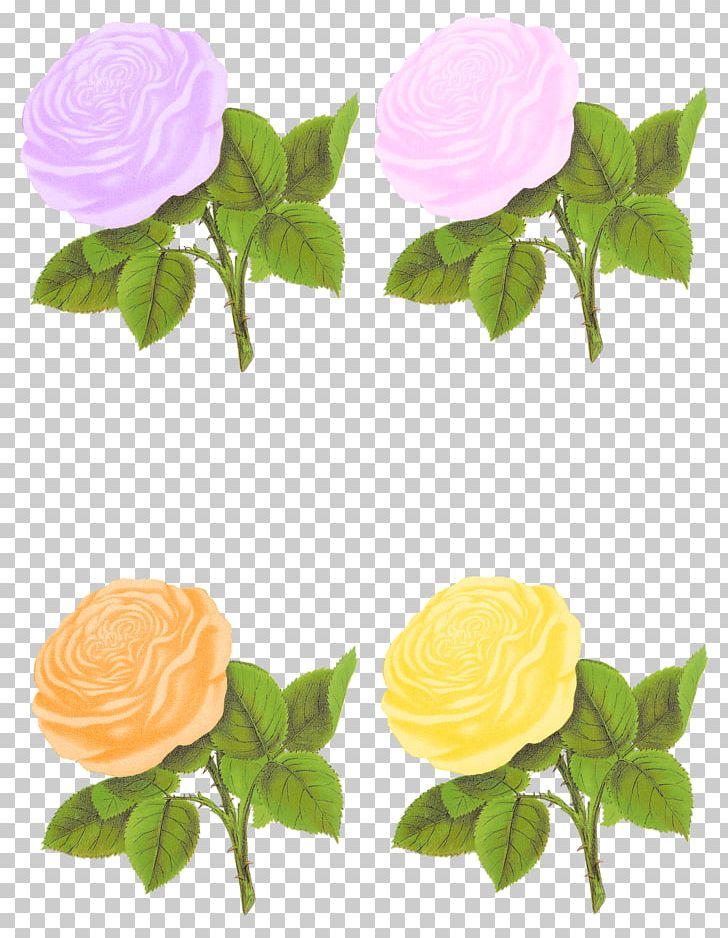 Flower Rose PNG, Clipart, Art, Collage, Craft, Flower, Garden Roses Free PNG Download