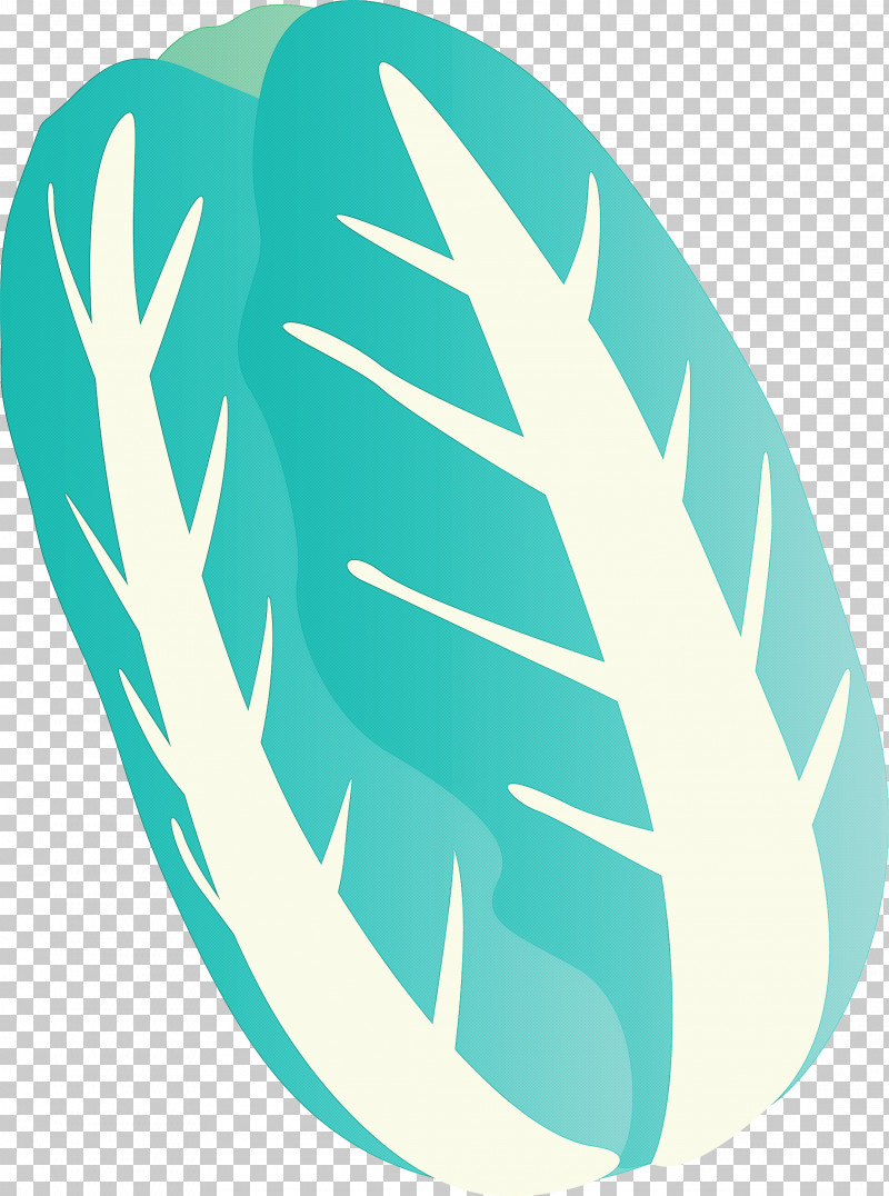 Nappa Cabbage PNG, Clipart, Feather, Leaf, Nappa Cabbage, Teal, Turquoise Free PNG Download