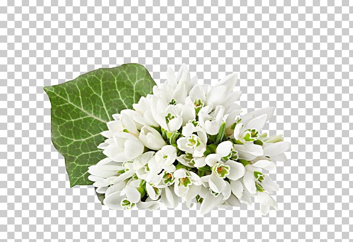 Flower Bouquet Tulip Desktop Snowdrop PNG, Clipart, Birthday, Bud, Cut Flowers, Desktop Wallpaper, Floral Design Free PNG Download