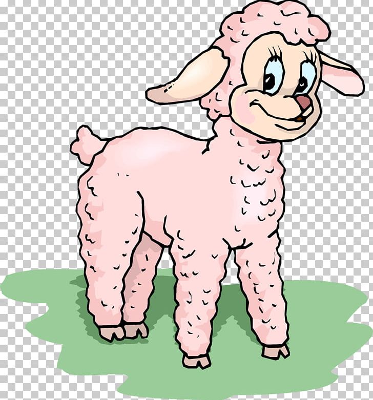 Sheep Goat PNG, Clipart, Animals, Artwork, Carnivoran, Cartoon, Cattle Like Mammal Free PNG Download