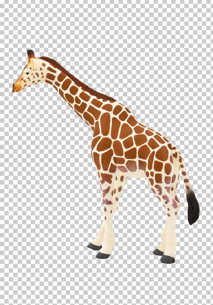 Toy Northern Giraffe Lion Animal Leopard PNG, Clipart, Animal, Animal Figure, Animal Planet, Basabizitza, Collectable Free PNG Download