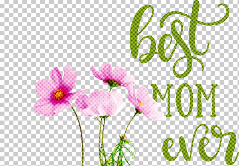Mothers Day Best Mom Ever Mothers Day Quote PNG, Clipart, Best Mom Ever, Idea, Image Editing, Language, Mothers Day Free PNG Download