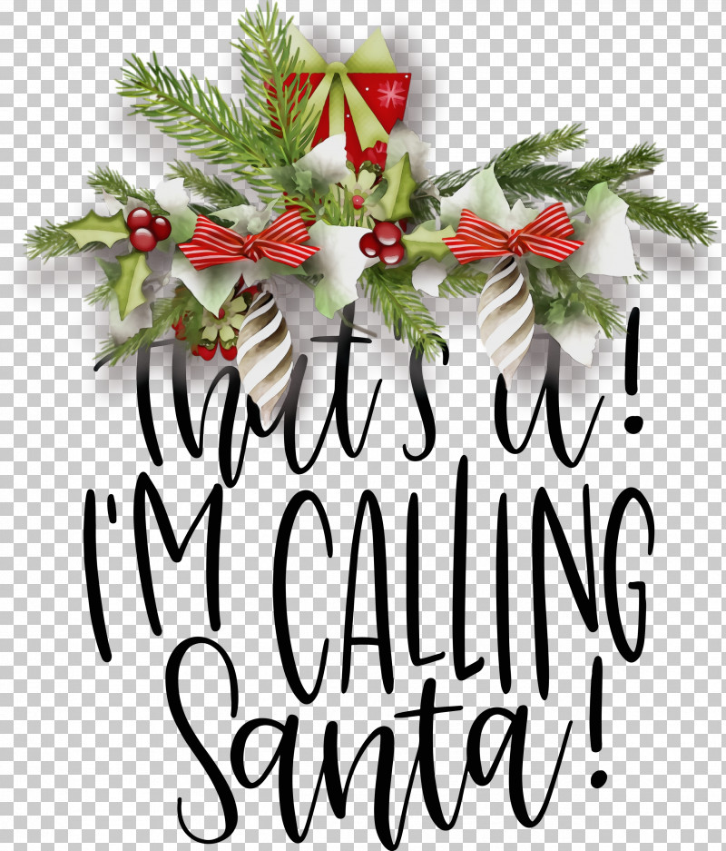 Christmas Ornament PNG, Clipart, Branching, Calling Santa, Christmas, Christmas Day, Christmas Ornament Free PNG Download