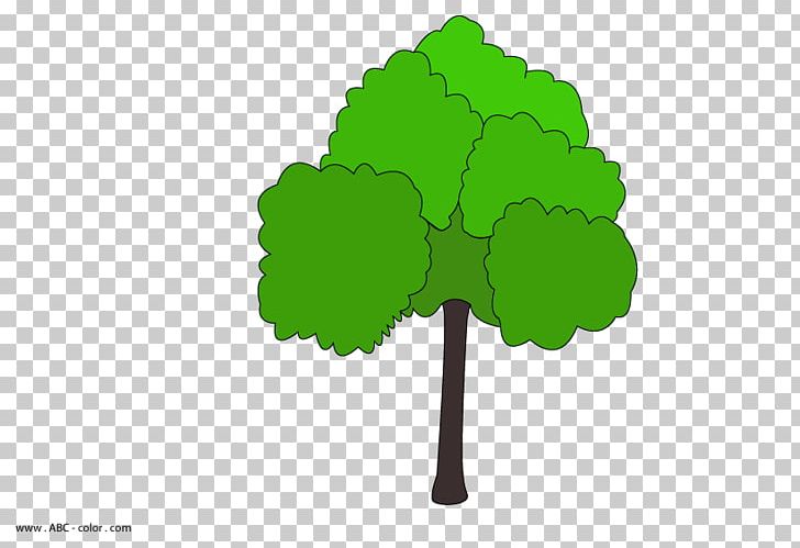 Drawing Tree Oak Raster Graphics Coloring Book PNG, Clipart, Bitmap, Composition, Computer Wallpaper, Derevo, Digital Image Free PNG Download