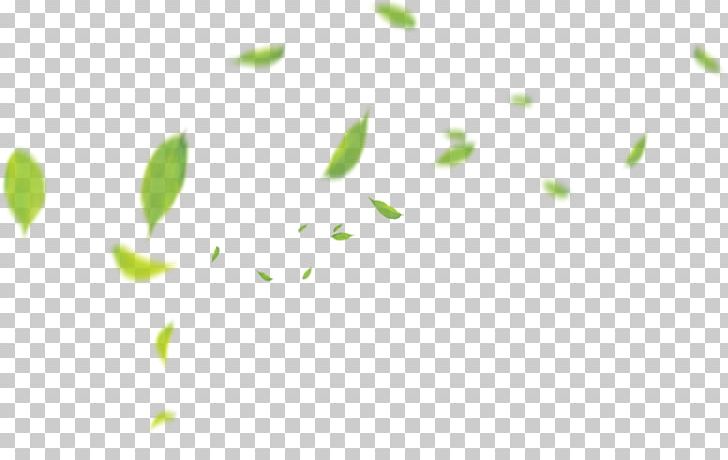 Green Pattern PNG, Clipart, Angle, Area, Background Green, Fall Leaves, Float Free PNG Download