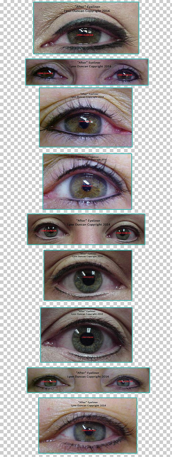 Eye Shadow Eyebrow Eye Liner Eyelash Lip Liner PNG, Clipart, Cosmetics, Eye, Eyebrow, Eyelash, Eye Liner Free PNG Download