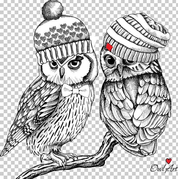 Owl Bird Drawing Illustration PNG, Clipart, Animals, Athene, Beak, Cartoon, Hand Drawn Free PNG Download