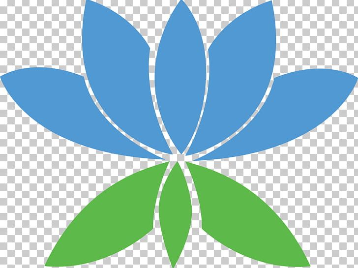 Symbol Petal Symmetry Pattern PNG, Clipart, Download, Flora, Flower, Grass, Green Free PNG Download