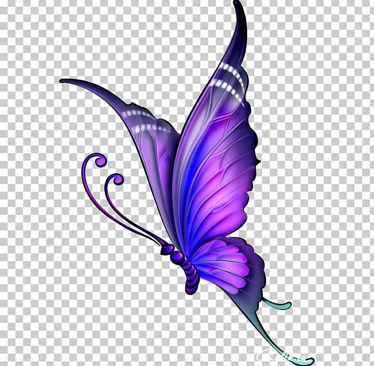 Butterfly Drawing Color PNG, Clipart, Butterflies And Moths, Butterfly, Color, Desktop Wallpaper, Drawing Free PNG Download