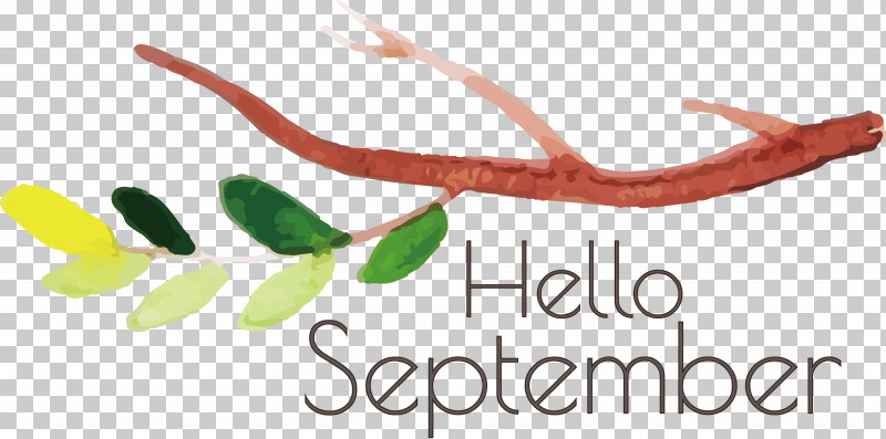 Hello September September PNG, Clipart, Bank Australia, Biology, Geometry, Hello September, Line Free PNG Download