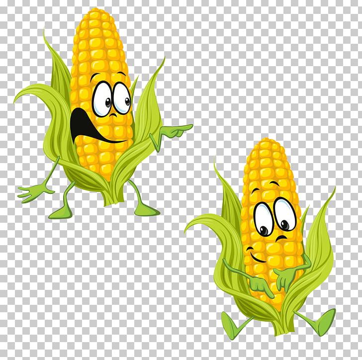 Cartoon Maize Drawing PNG, Clipart, Art, Cartoon, Cartoon Corn, Commodity, Corn Free PNG Download