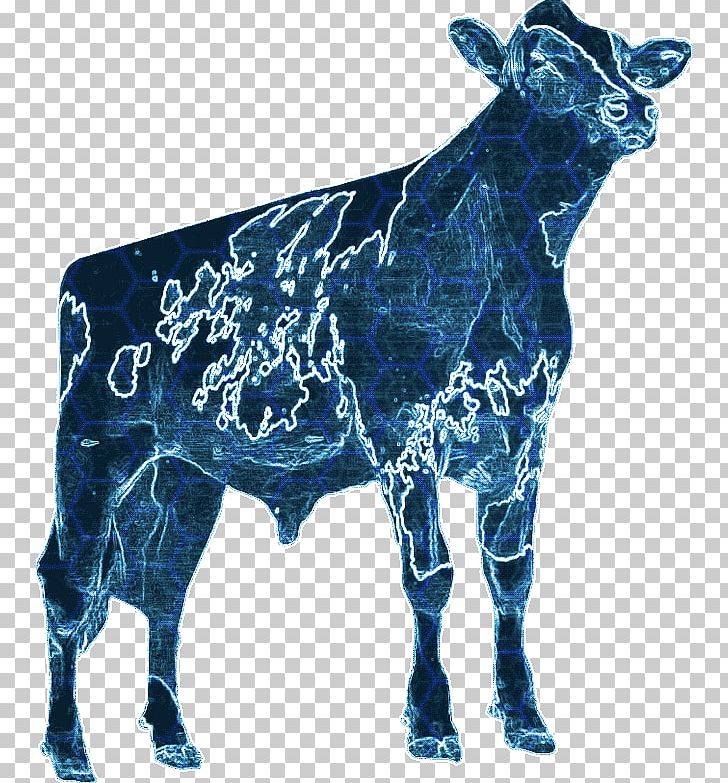 Dairy Cattle Calf La Garita PNG, Clipart, Bull, Calf, Cattle, Cattle Like Mammal, Cobalt Blue Free PNG Download
