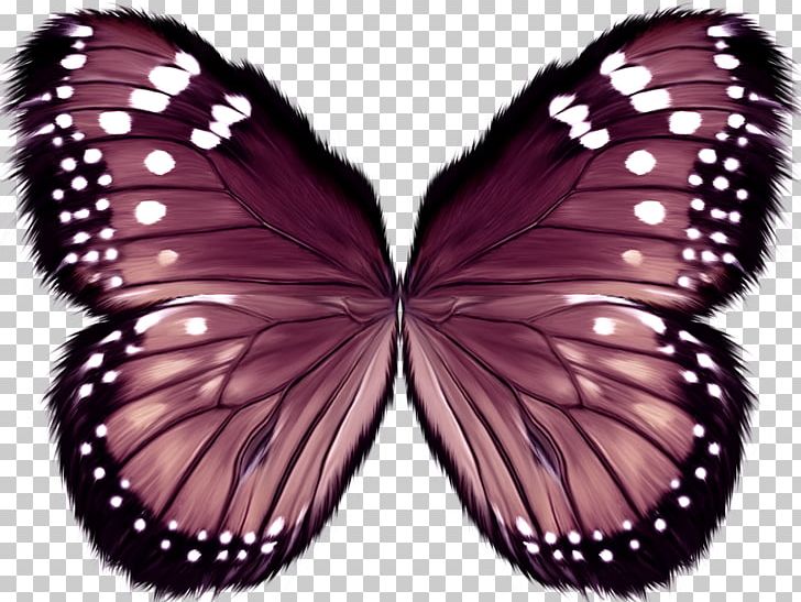 Monarch Butterfly Pieridae Scale PNG, Clipart, Amp, Animation, Arthropod, Bird, Brush Footed Butterfly Free PNG Download