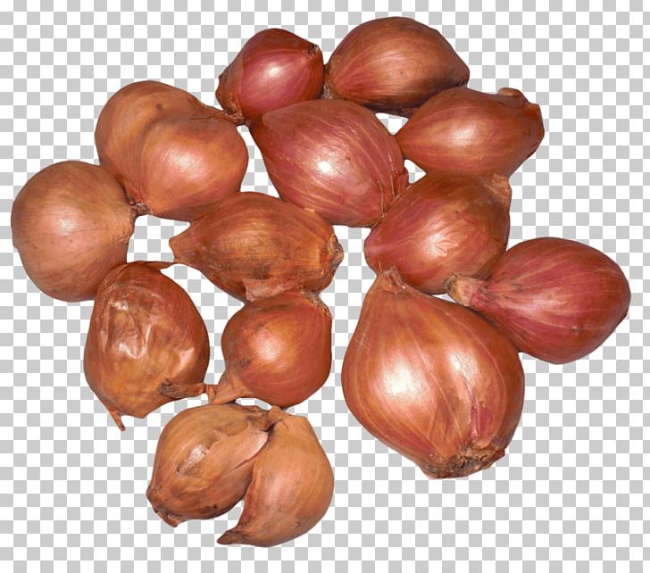 Yellow Onion Shallot French Cuisine Allium Fistulosum Scallion PNG, Clipart, Allium, Allium Fistulosum, Chestnut, Food, Food Drinks Free PNG Download