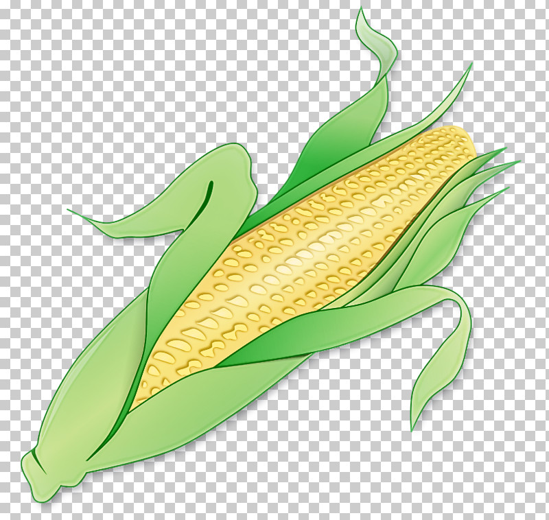 Corn On The Cob Sweet Corn Leaf Corn Plant PNG, Clipart, Anthurium, Corn, Corn On The Cob, Grass Family, Leaf Free PNG Download