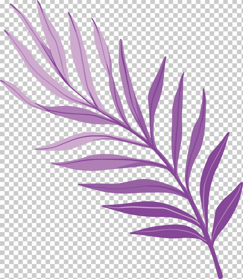 Plant Stem Petal Leaf Purple Line PNG, Clipart, Biology, Flower, Leaf, Line, Petal Free PNG Download