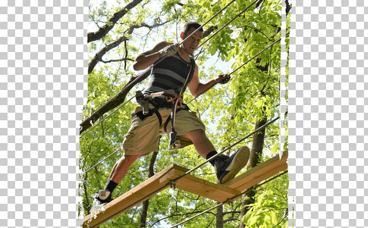 Bristol Tree Sevierville Ropes Course Adventure PNG, Clipart, Adventure, Bristol, Course, Jungle, Location Free PNG Download