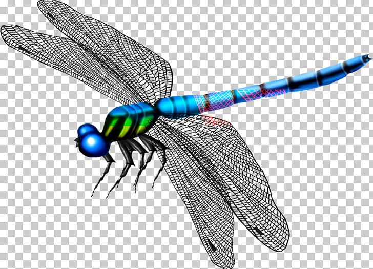 Butterfly Mosquito Dragonfly PNG, Clipart, Animal, Arthropod, Blue, Cartoon Dragonfly, Dra Free PNG Download