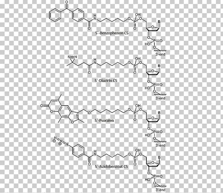 Methylene Blue Anthraquinone Molecule Oligonucleotide Covalent Bond PNG, Clipart, Angle, Area, Auto Part, Black, Black And White Free PNG Download