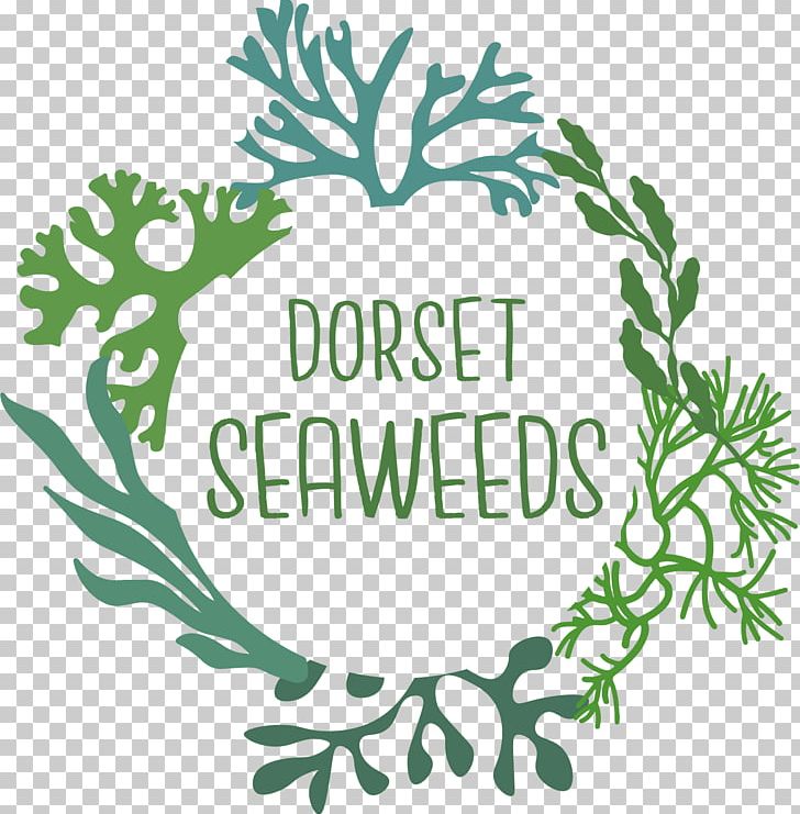Plants Seaweed Plant Stem Leaf Flowering Plant PNG, Clipart, Area, Artwork, Branch, Brand, Concentrate Free PNG Download