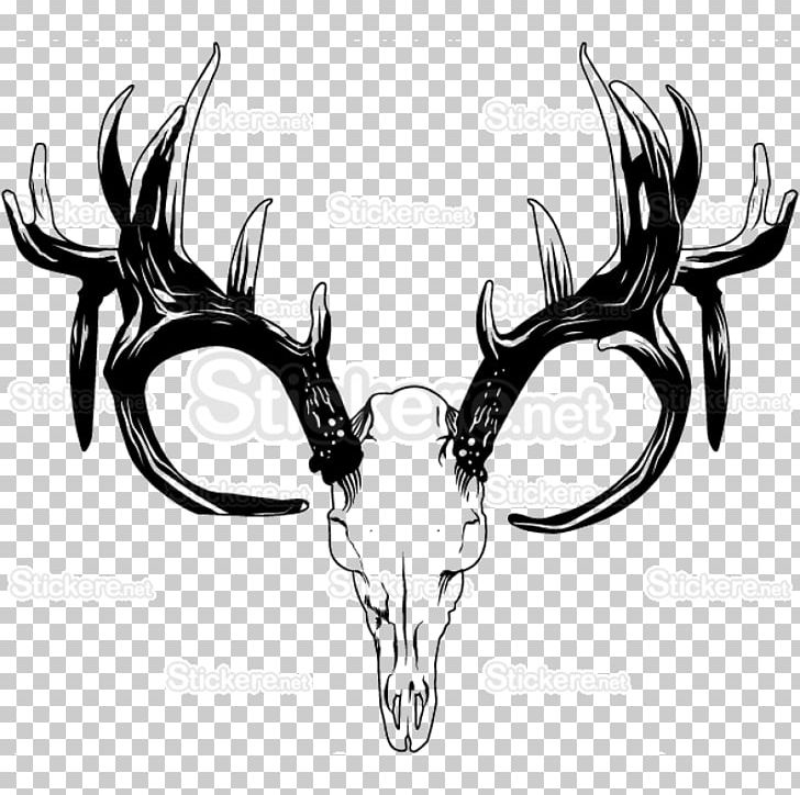 Reindeer Roe Deer White-tailed Deer Horn PNG, Clipart, Animal, Animal Product, Antler, Black And White, Bone Free PNG Download