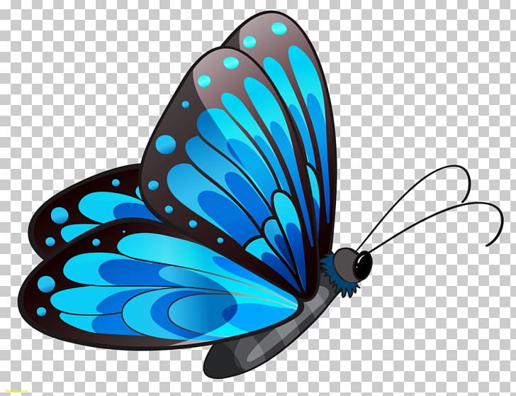 Butterfly Blue PNG, Clipart, Blue, Blue Butterfly, Bluegreen, Brush Footed Butterfly, Butterflies And Moths Free PNG Download